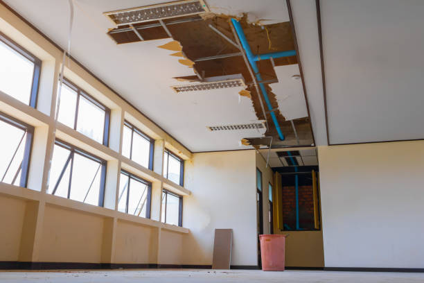 Best Flooded house restoration  in Alcoa, TN