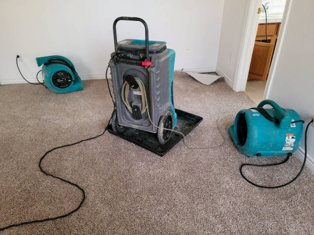 Best Emergency water damage restoration  in Alcoa, TN