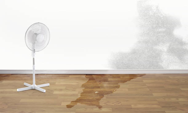 Reliable Alcoa, TN Water damage restoration Solutions