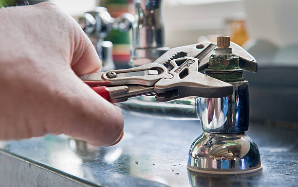 Best Mold removal after water damage  in Alcoa, TN