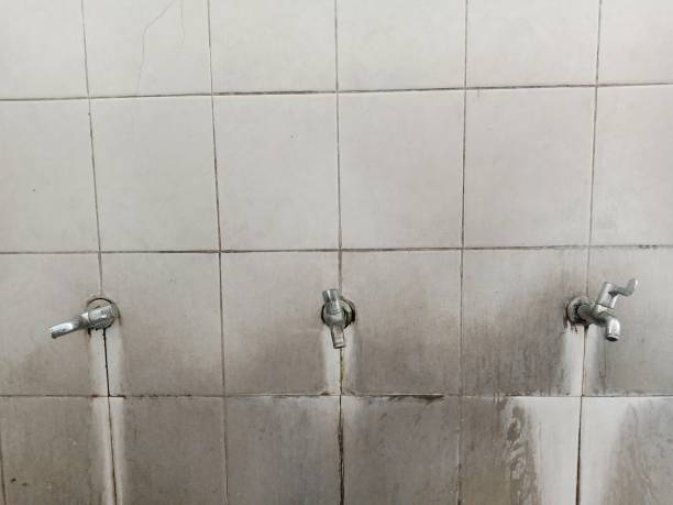 Best Emergency water damage restoration  in Alcoa, TN